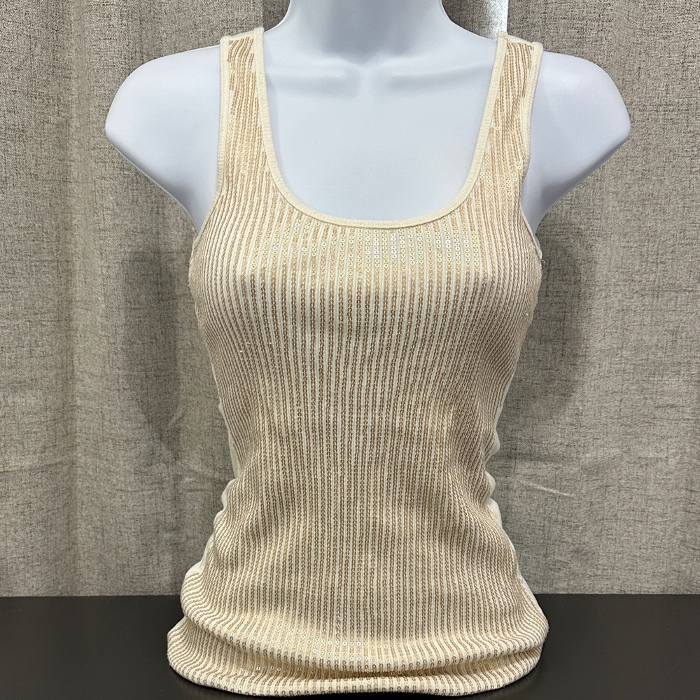 Express Sequins Top